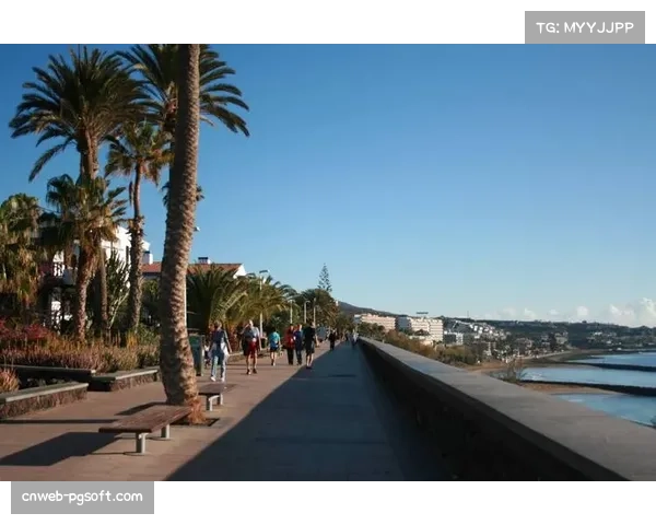 2026年西班牙手球杯落户大加那利岛,2月7日至8日特尔德市开赛 2026年西班牙手球杯落户大加那利岛,2月7日至8日特尔德市开赛